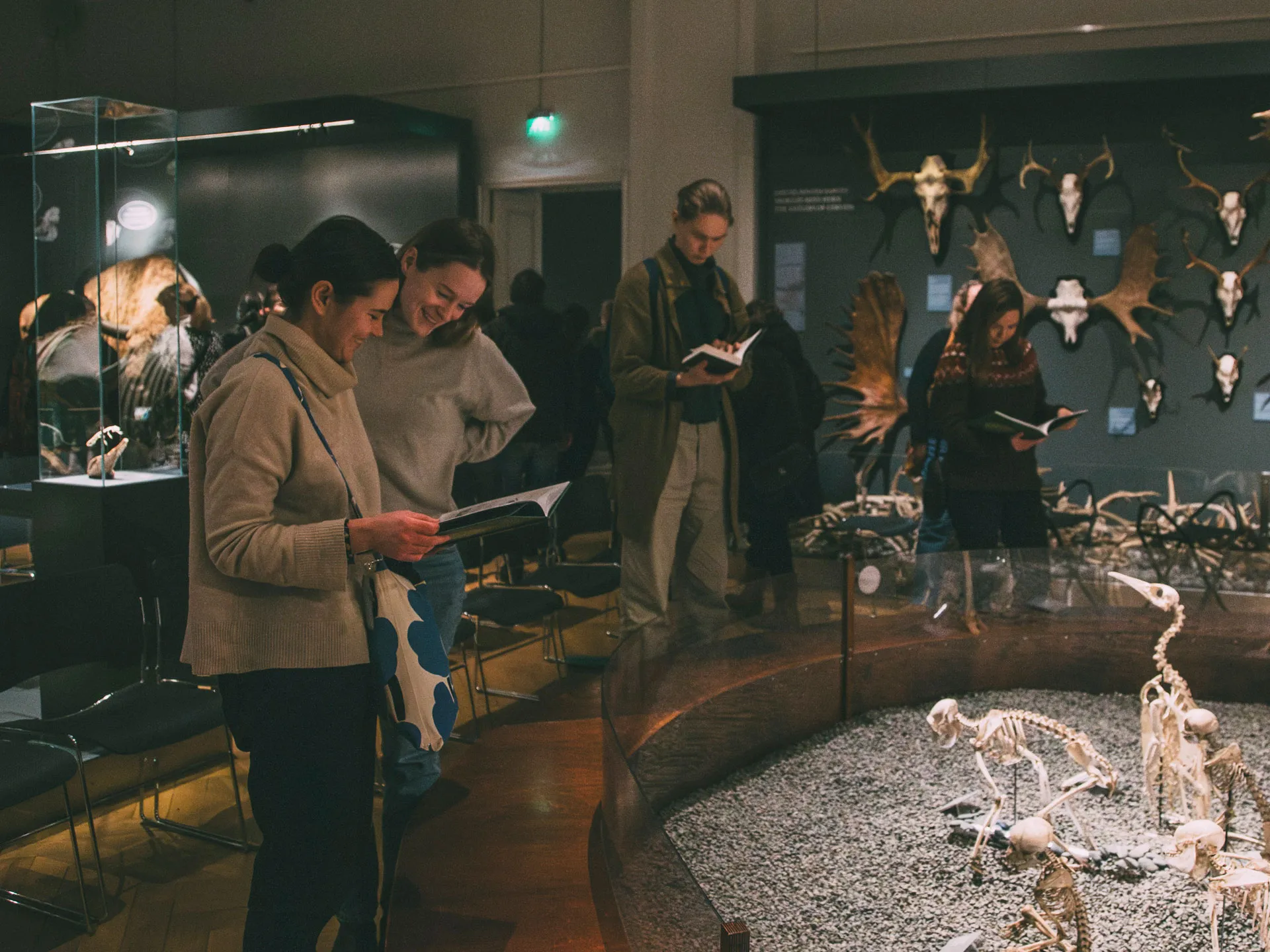 Ihmisiä katsomassa näyttelyesineitä Luonnontieteellisessä museossa.